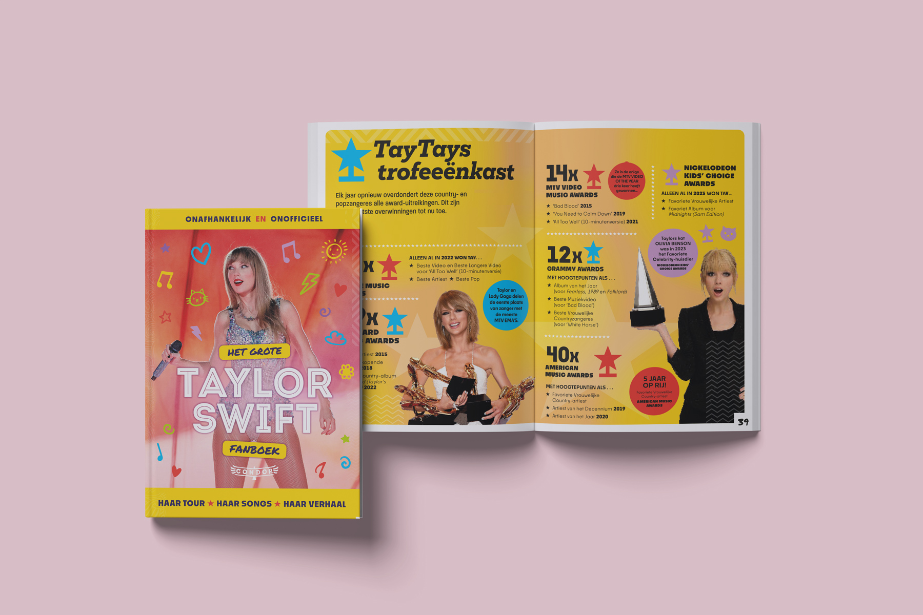 Het grote Taylor Swift Fanboek